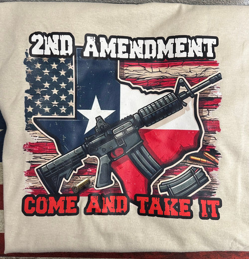 2nd Amendment Flag Novelty Tee Shirt