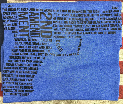 2nd Amendment Novelty Tee Shirt